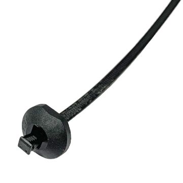 XTYBT100.jpg