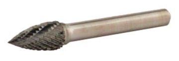 CBSG3