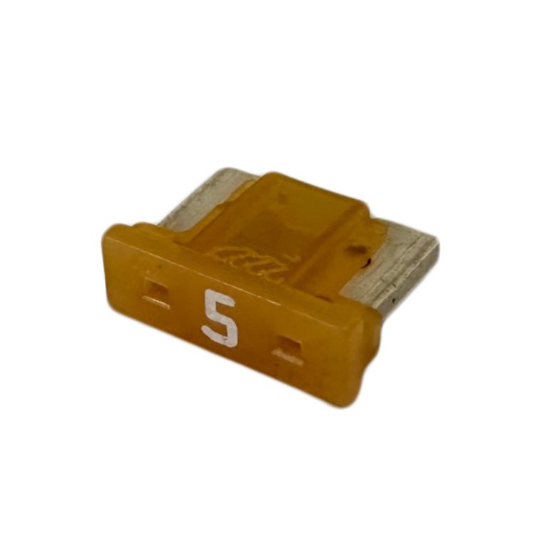 XLMIN5B
